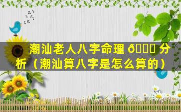 潮汕老人八字命理 🍀 分析（潮汕算八字是怎么算的）